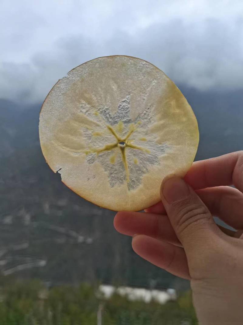 茂汶苹果 茂汶苹果现在买得到吗