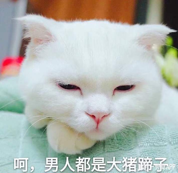 猪蹄的香气表情包 猪蹄的香气表情包图片