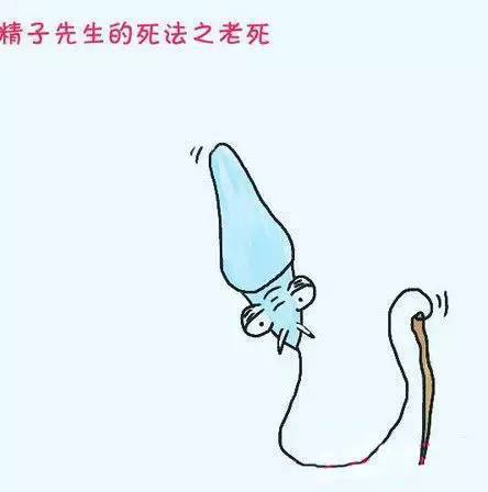 精子去哪了 有精无子能治吗