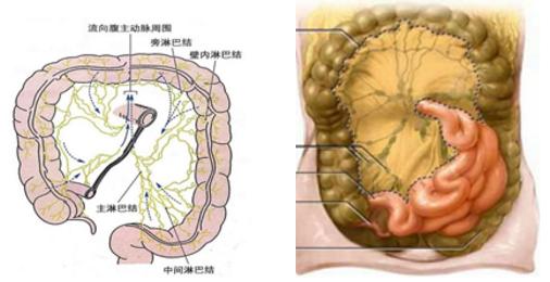 孩子肠系膜淋巴结炎怎么办 孩子肠系膜淋巴结炎怎么办吃什么药