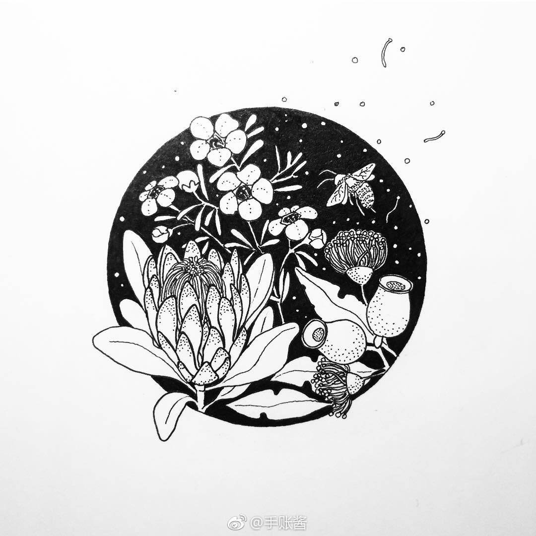 黑白装饰画花卉素材 黑白装饰画花卉素材图片大全