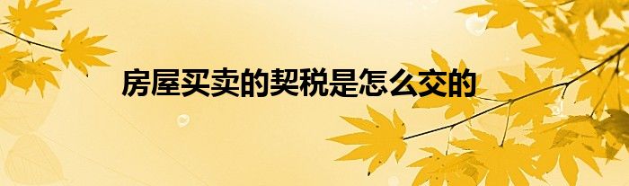 济南房子契税流程怎么交 济南办房产证交契税怎么算