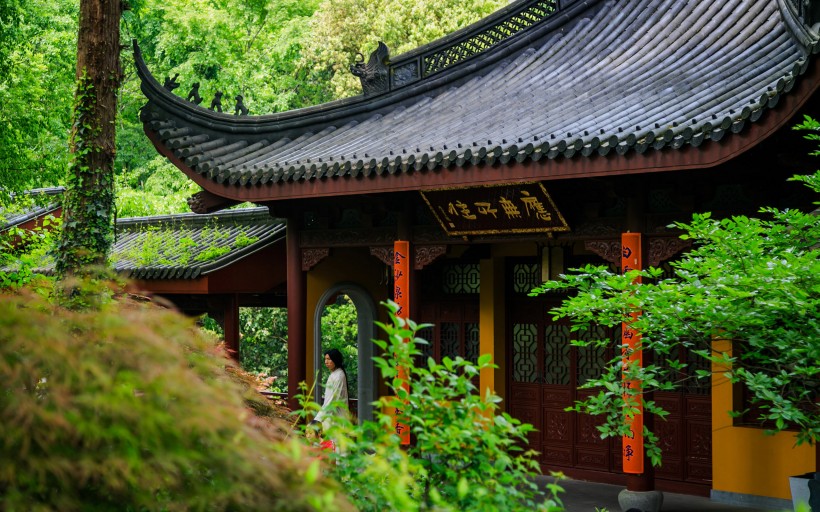 逆水寒在杭州灵隐寺看到 在杭州灵隐寺能看到 锦鲤逆水寒