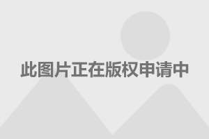 上海崇明区公租房申请条件 上海崇明区公租房申请条件及流程