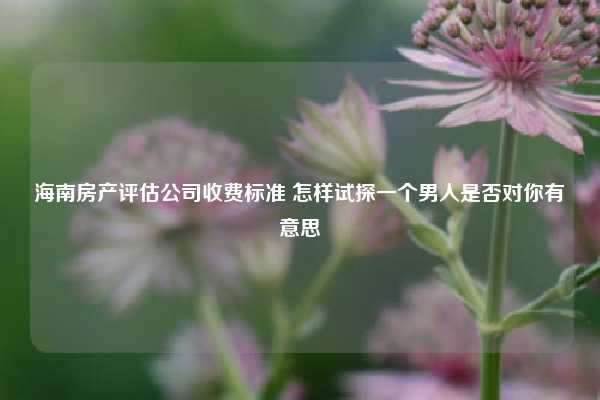 海南房产评估公司收费标准 怎样试探一个男人是否对你有意思