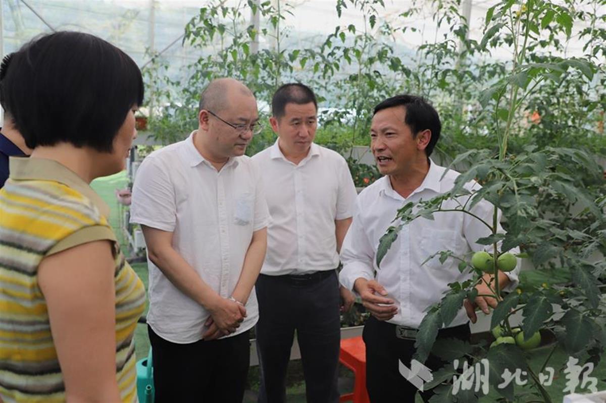 建始土地房产评估公司 建始土地房产评估公司有哪些