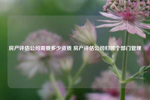 房产评估公司需要多少资质 房产评估公司归哪个部门管理