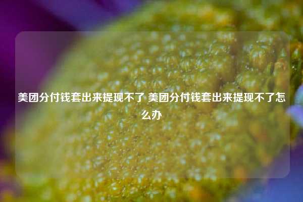 美团分付钱套出来提现不了 美团分付钱套出来提现不了怎么办