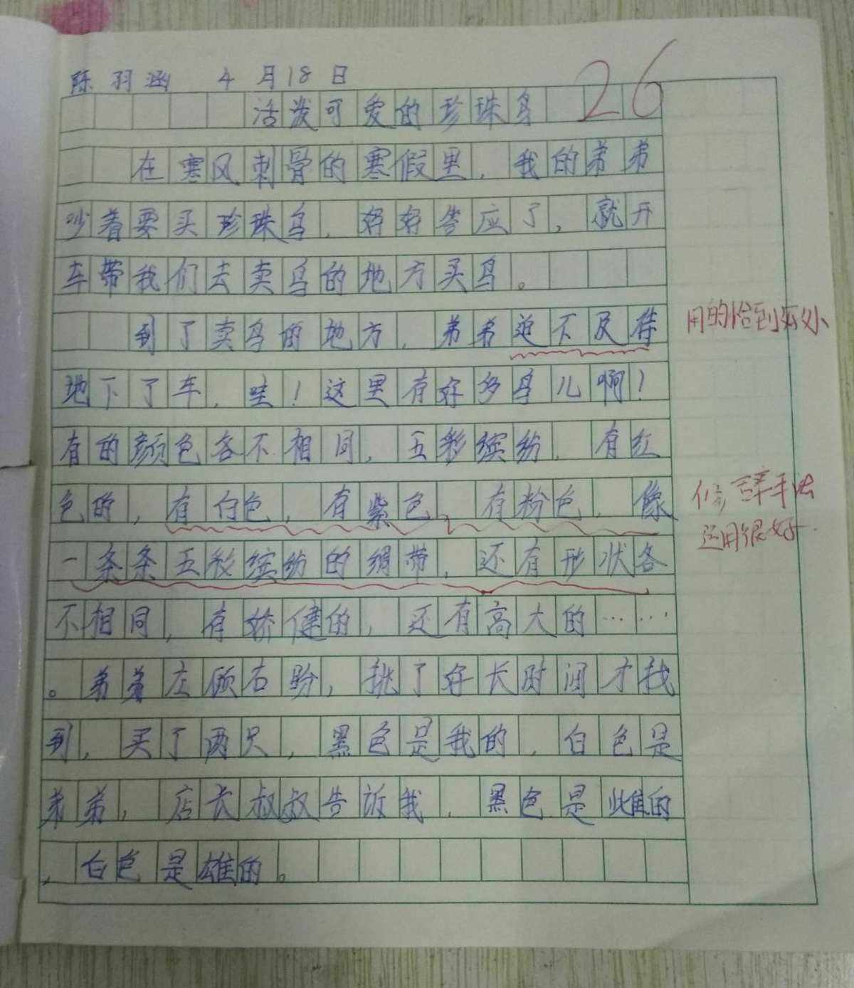 让我喜欢的一个人作文 让我喜欢的一个人作文400字四年级