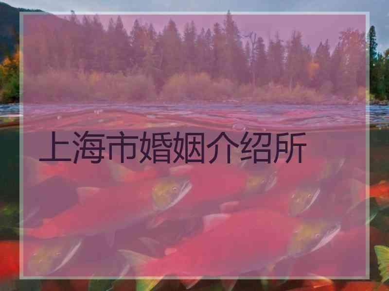 三亚婚介公司哪家好 三亚最好的婚庆公司哪家好