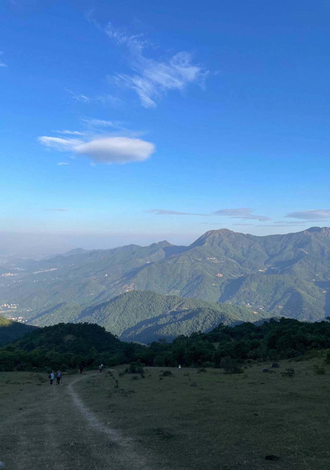 茂名婚介所 茂名婚介绍所哪里好