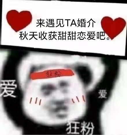 西安新城婚介网 西安新城婚介网哪家好