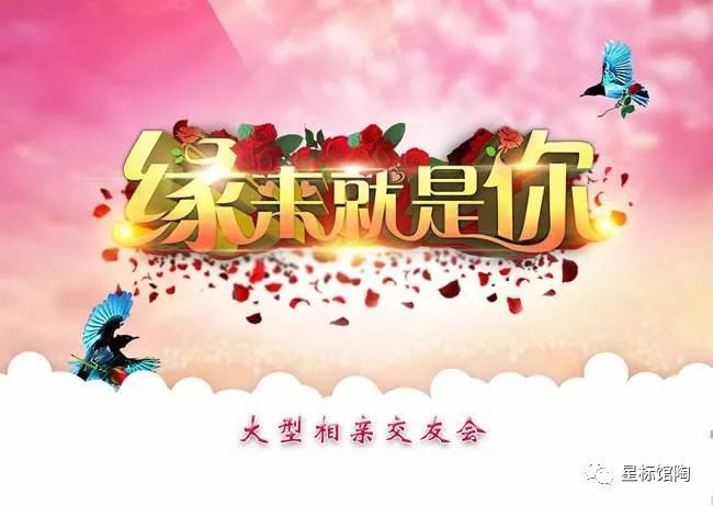 上海公益婚介 上海市婚介协会