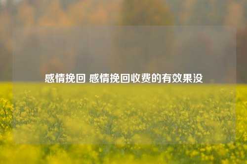 感情挽回 感情挽回收费的有效果没