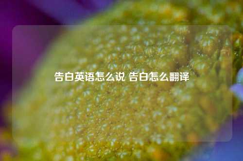 告白英语怎么说 告白怎么翻译