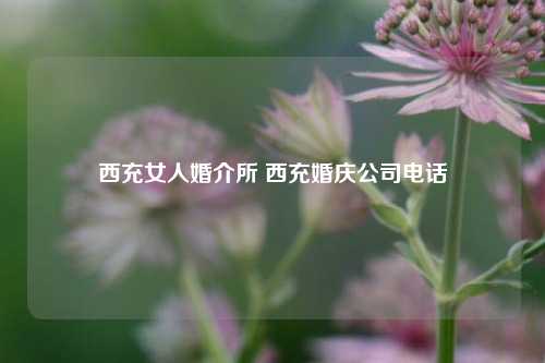 西充女人婚介所 西充婚庆公司电话