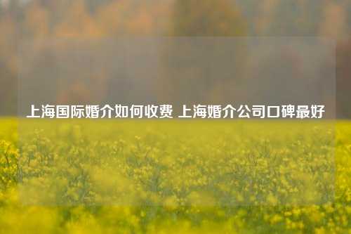 上海国际婚介如何收费 上海婚介公司口碑最好