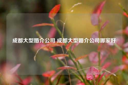 成都大型婚介公司 成都大型婚介公司哪家好