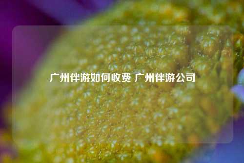 广州伴游如何收费 广州伴游公司