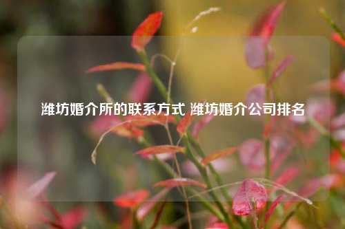 潍坊婚介所的联系方式 潍坊婚介公司排名