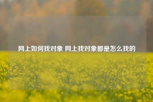 网上如何找对象 网上找对象都是怎么找的