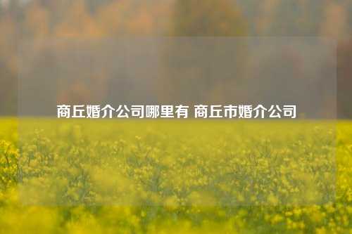 商丘婚介公司哪里有 商丘市婚介公司