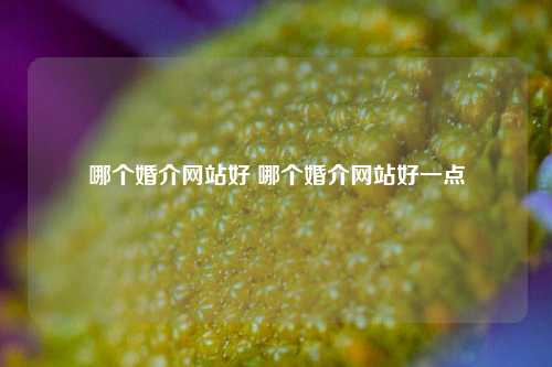 哪个婚介网站好 哪个婚介网站好一点