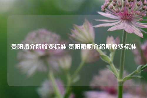 贵阳婚介所收费标准 贵阳婚姻介绍所收费标准