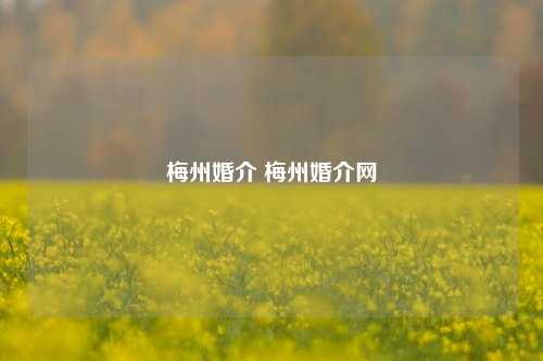 梅州婚介 梅州婚介网