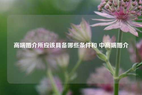 高端婚介所应该具备哪些条件和 中高端婚介