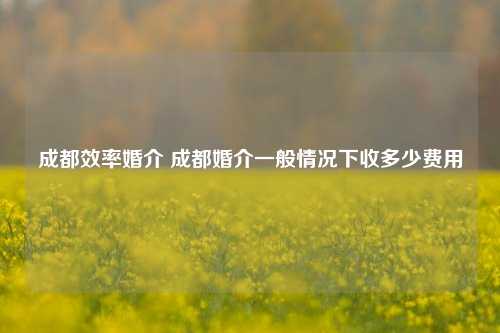 成都效率婚介 成都婚介一般情况下收多少费用