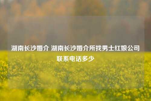 湖南长沙婚介 湖南长沙婚介所找男士红娘公司联系电话多少