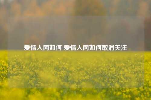 爱情人网如何 爱情人网如何取消关注