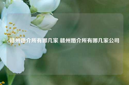 赣州婚介所有哪几家 赣州婚介所有哪几家公司