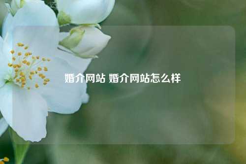 婚介网站 婚介网站怎么样