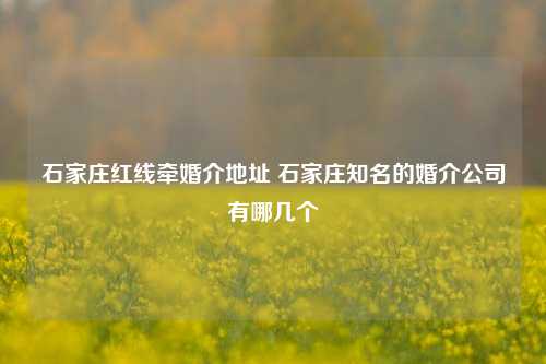 石家庄红线牵婚介地址 石家庄知名的婚介公司有哪几个